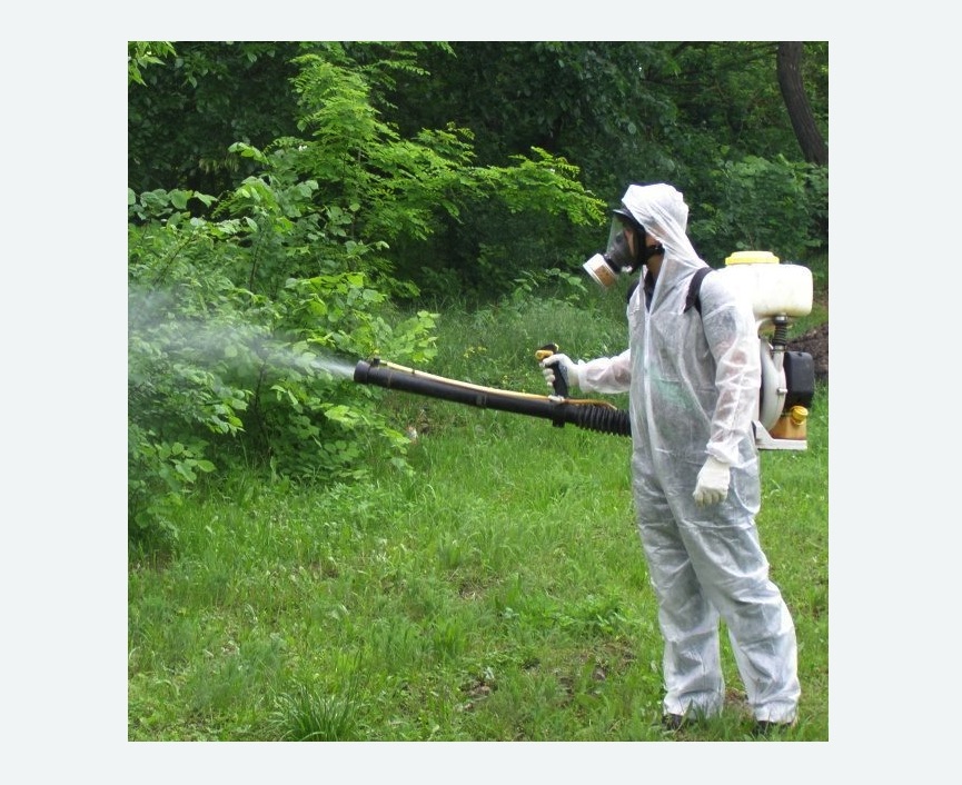 обработка территории от клещей в Семенове