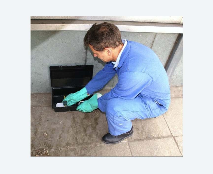 Дератизация помещения в Семенове Дератизация помещения