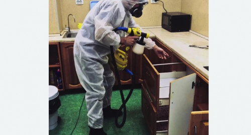 Уничтожение насекомых в квартире. Семенов