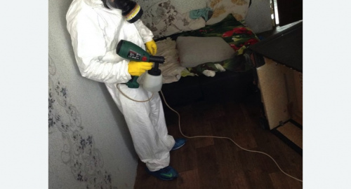 Обработка квартир от насекомых в Семенове