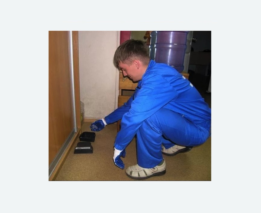 Дератизация крыс в Семенове