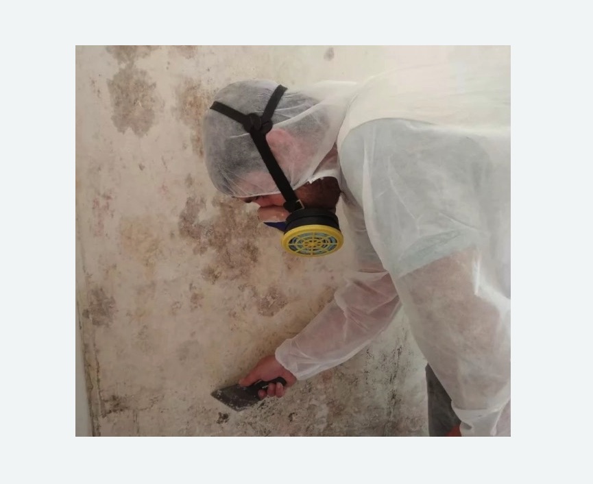 Обработка стен от плесени в Семенове