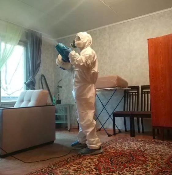 дезинсекция квартиры в Семенове