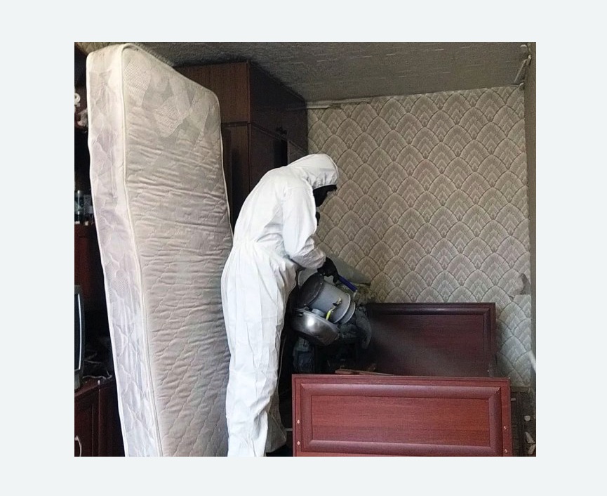 дезинфекция от клопов в Семенове