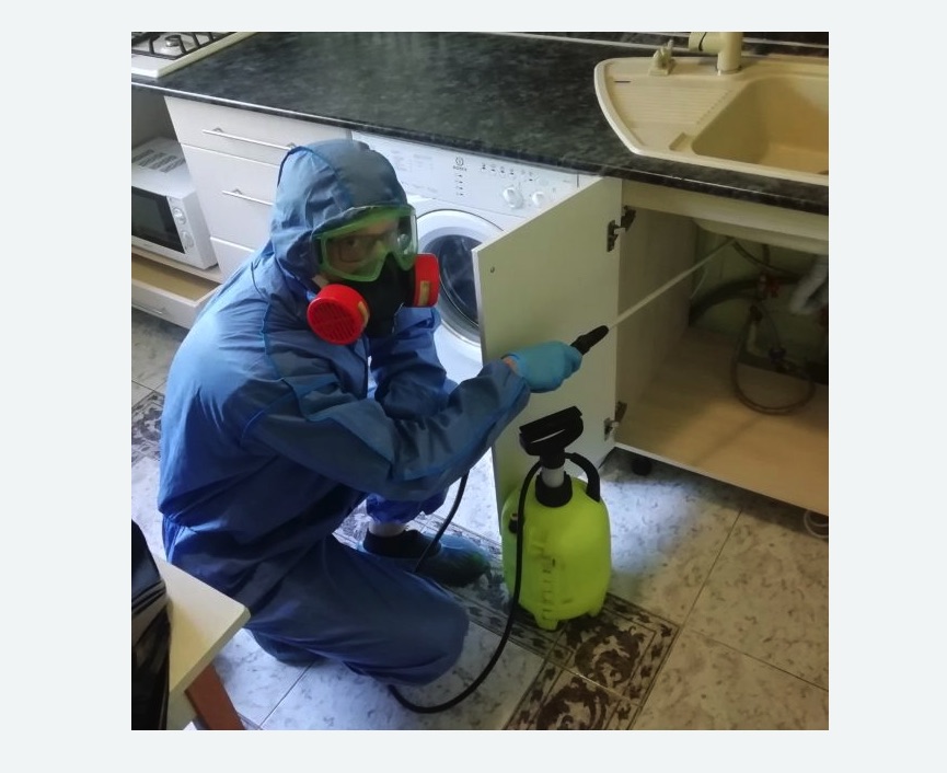 обработка от муравьев в квартире в Семенове