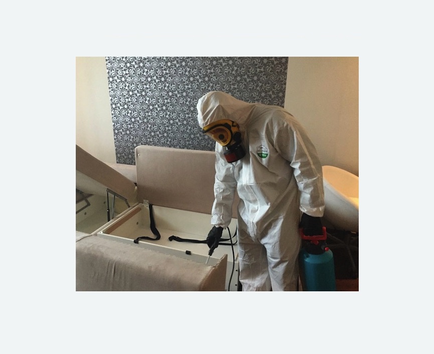 уничтожение клопов в квартире в Семенове