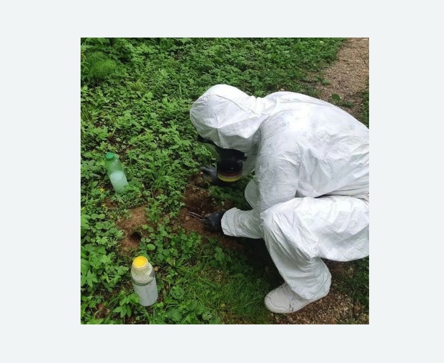 уничтожение кротов на участке в Семенове