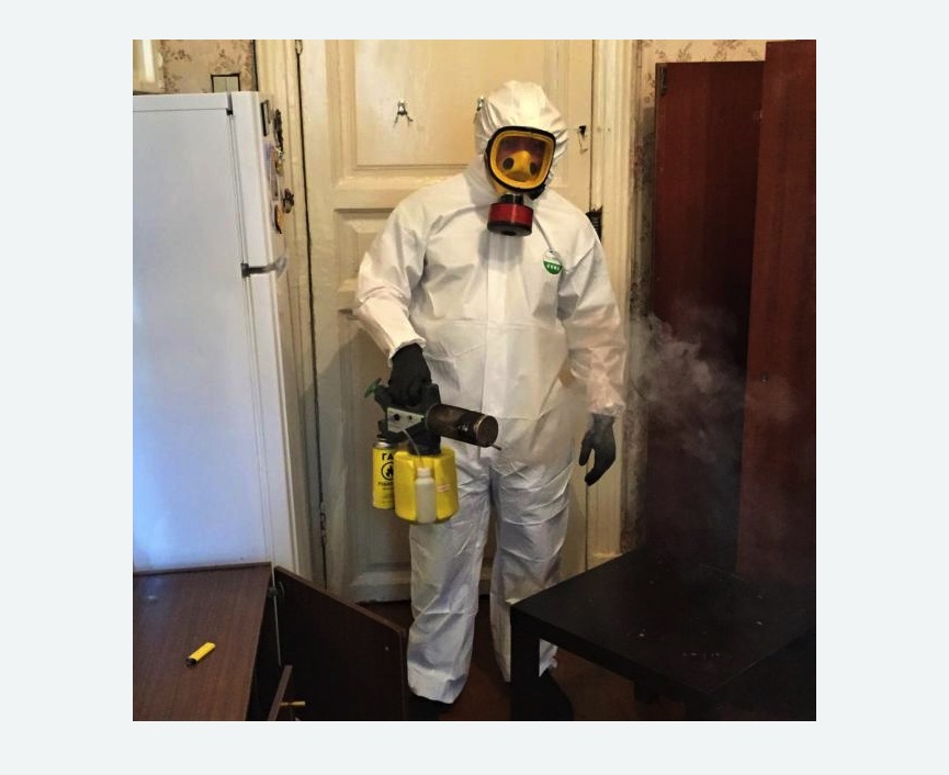 уничтожение муравьев в квартире в Семенове